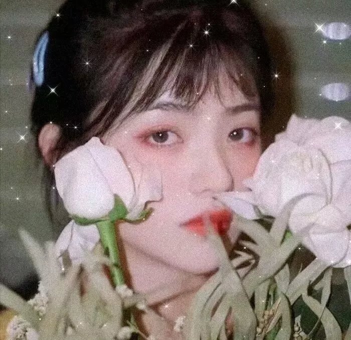 盐湖城朋克
